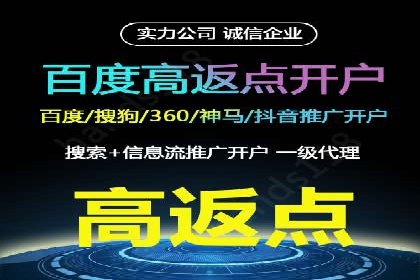 竞价推广代运营：成功案例解析